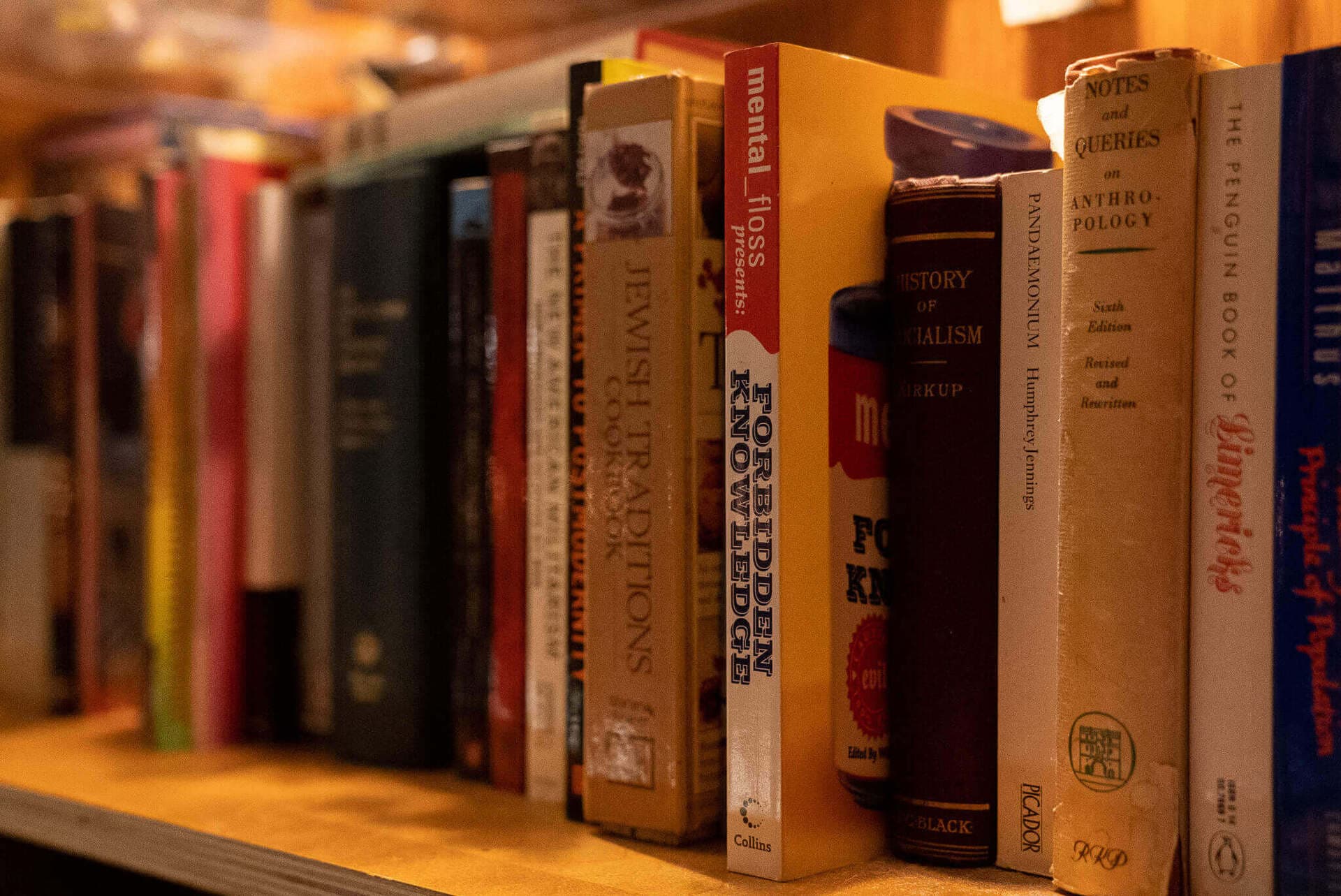 Vintage books and curios decorating the underground lounge